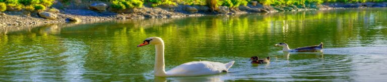 1 Λίμνη Μπελέτσι 2 768x163