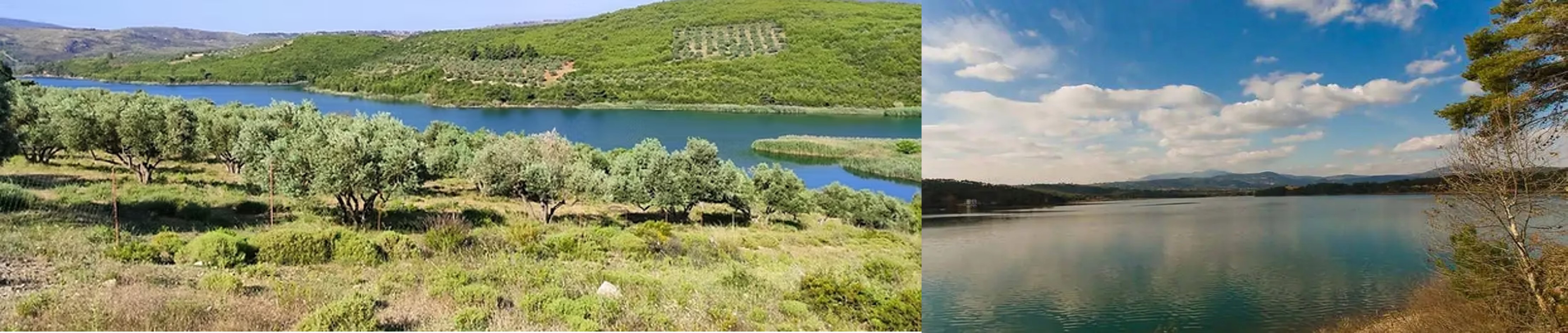 1 Περίπατος της Λίμνης Μαραθώνα 1