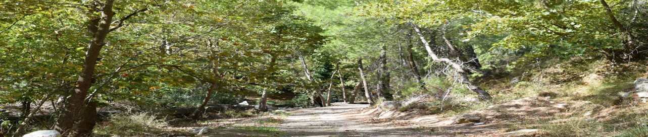 1 Περίπατος της Λίμνης Μαραθώνα 2