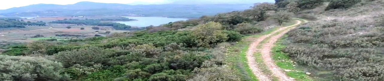 1 Περίπατος της Λίμνης Μαραθώνα 3