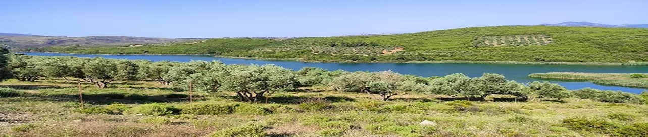 1 Περίπατος της Λίμνης Μαραθώνα 4