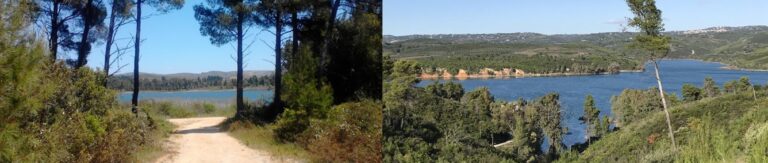 1 Περίπατος της Λίμνης Μαραθώνα 5 768x163