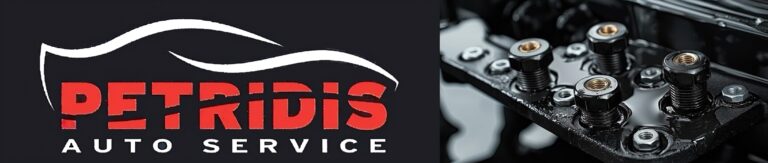 Petridis Auto Service 1 768x163