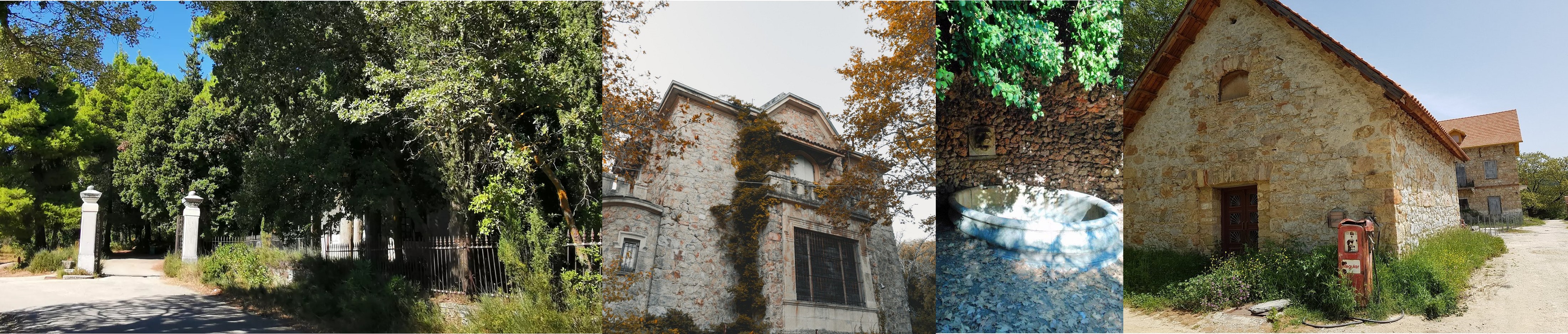 Δασόκτημα Τατοΐου 1