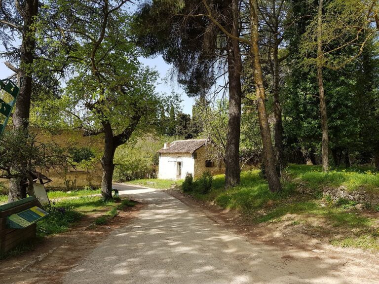 Δασόκτημα Τατοΐου 10 768x576