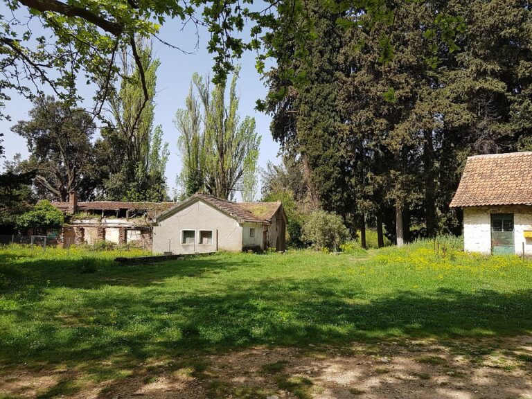 Δασόκτημα Τατοΐου 11 768x576