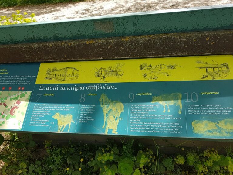 Δασόκτημα Τατοΐου 12 768x576