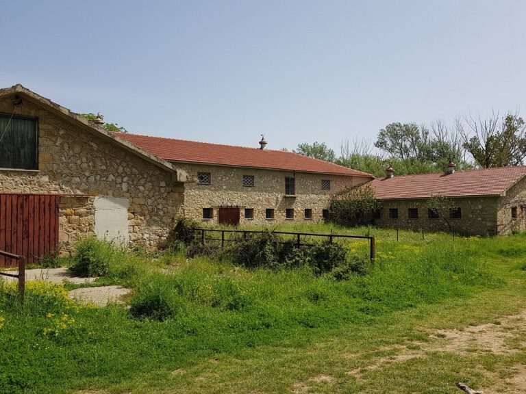 Δασόκτημα Τατοΐου 13 768x576