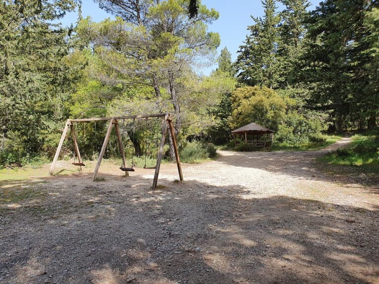 Δασόκτημα Τατοΐου 14 768x576