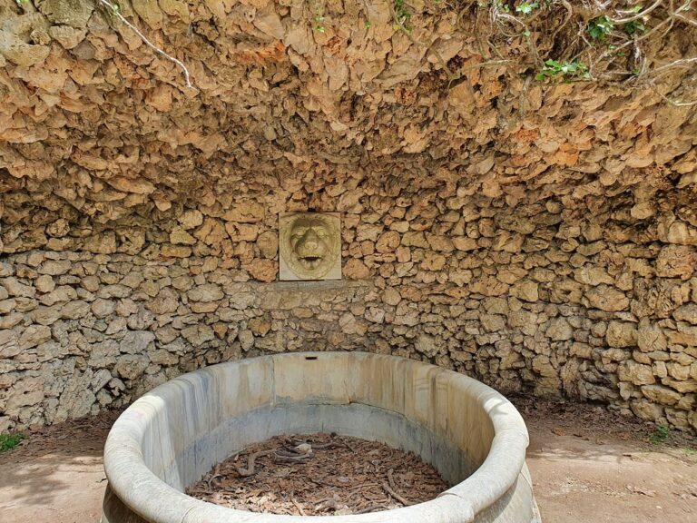 Δασόκτημα Τατοΐου 16 768x576