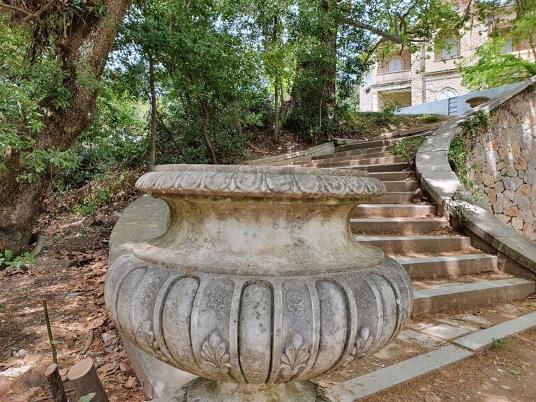 Δασόκτημα Τατοΐου 17 768x576