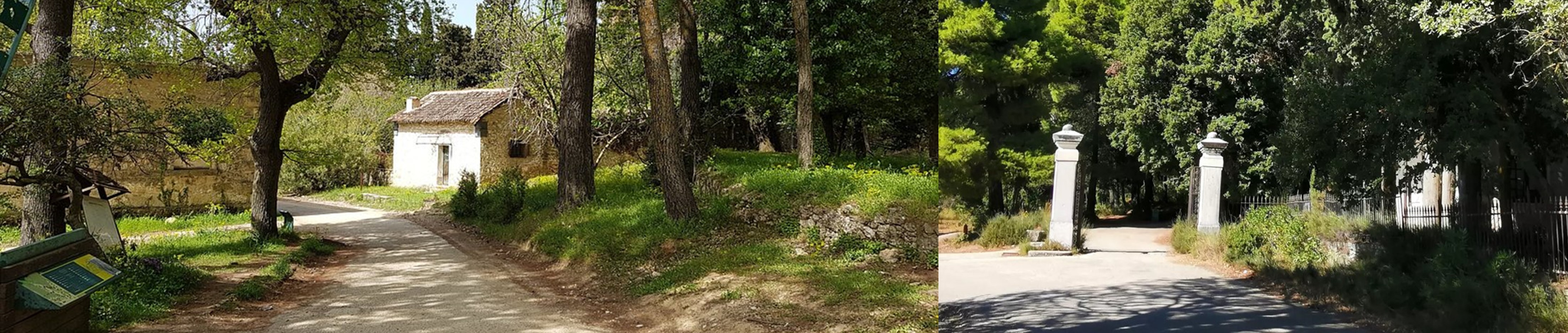 Δασόκτημα Τατοΐου 2