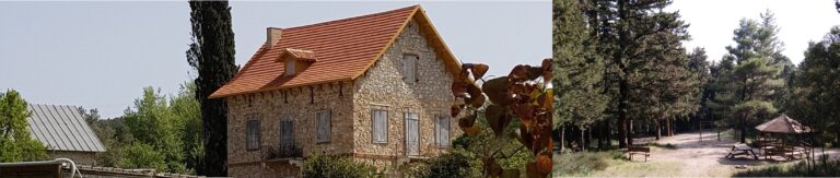 Δασόκτημα Τατοΐου 3 768x163