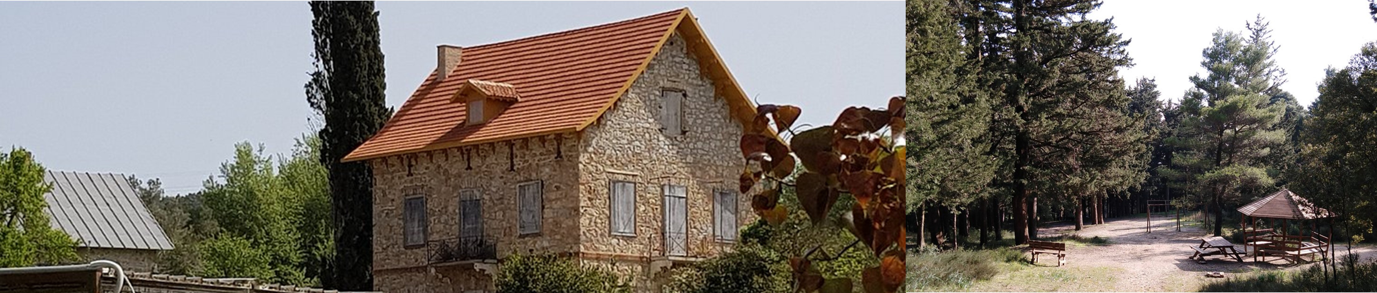 Δασόκτημα Τατοΐου 3