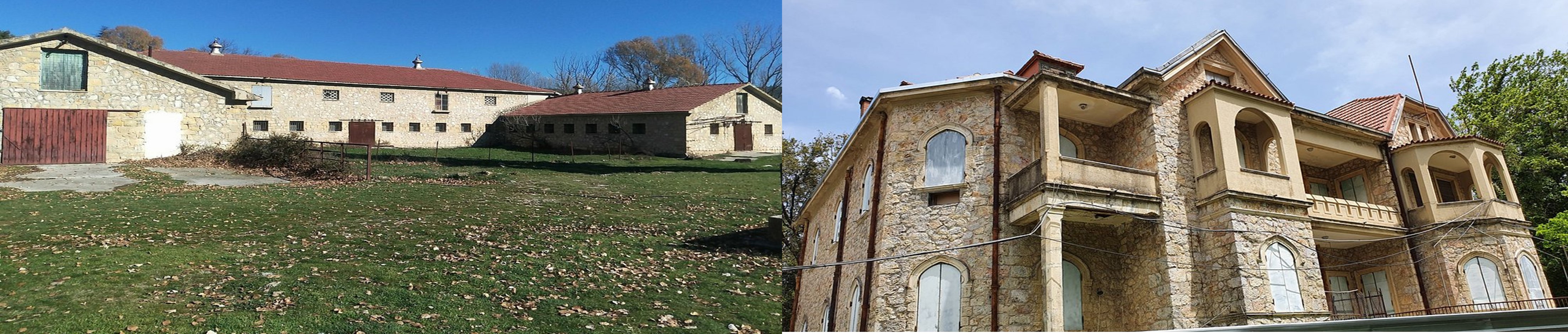 Δασόκτημα Τατοΐου 5