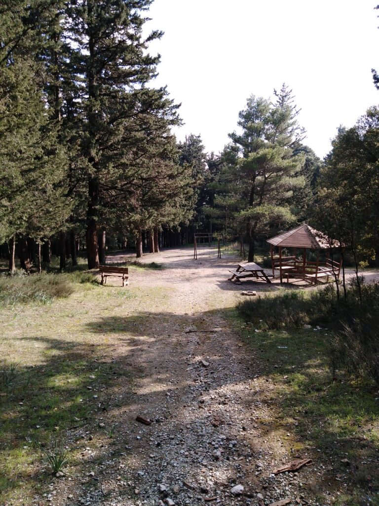 Δασόκτημα Τατοΐου 6 768x1024