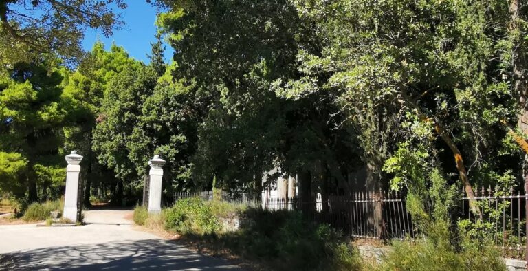 Δασόκτημα Τατοΐου 62 768x394