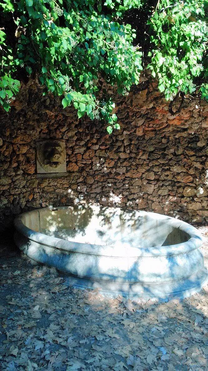 Δασόκτημα Τατοΐου 63