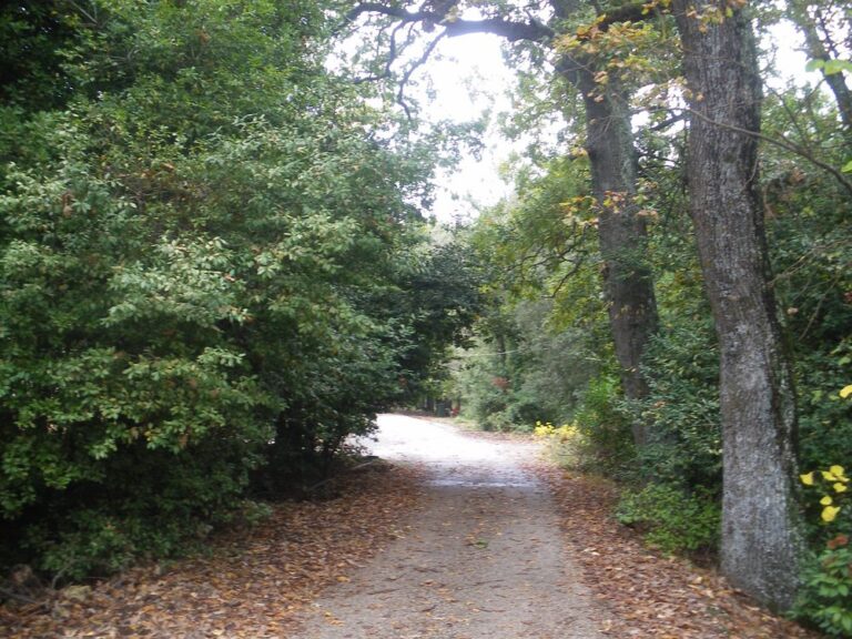 Δασόκτημα Τατοΐου 64 768x576