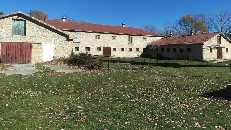 Δασόκτημα Τατοΐου 65 768x432