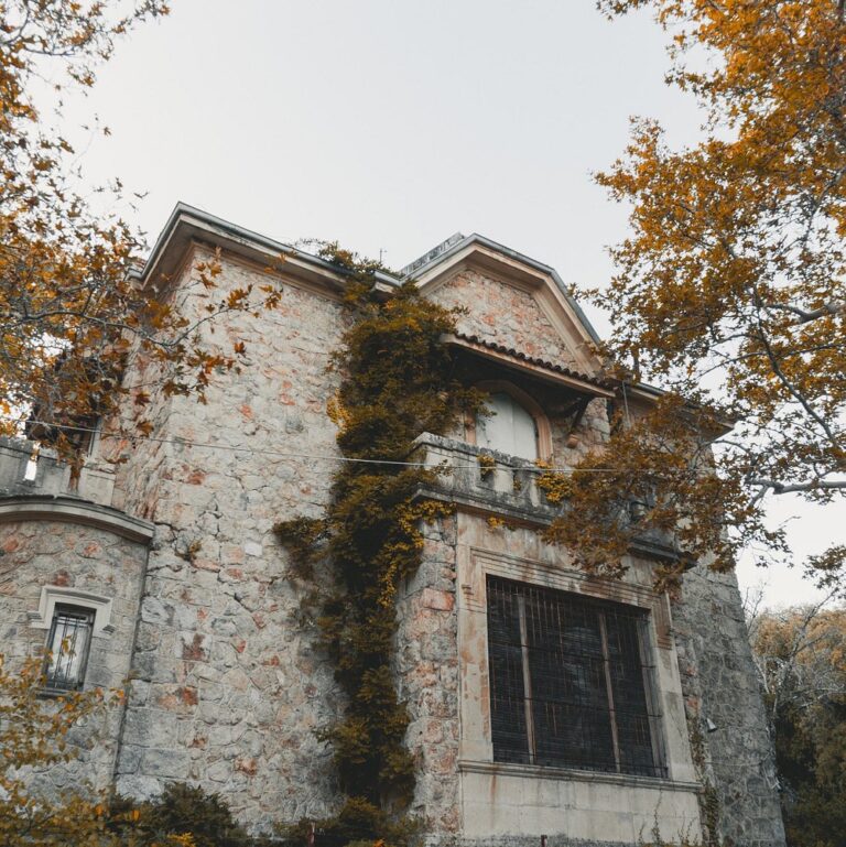 Δασόκτημα Τατοΐου 7 768x769