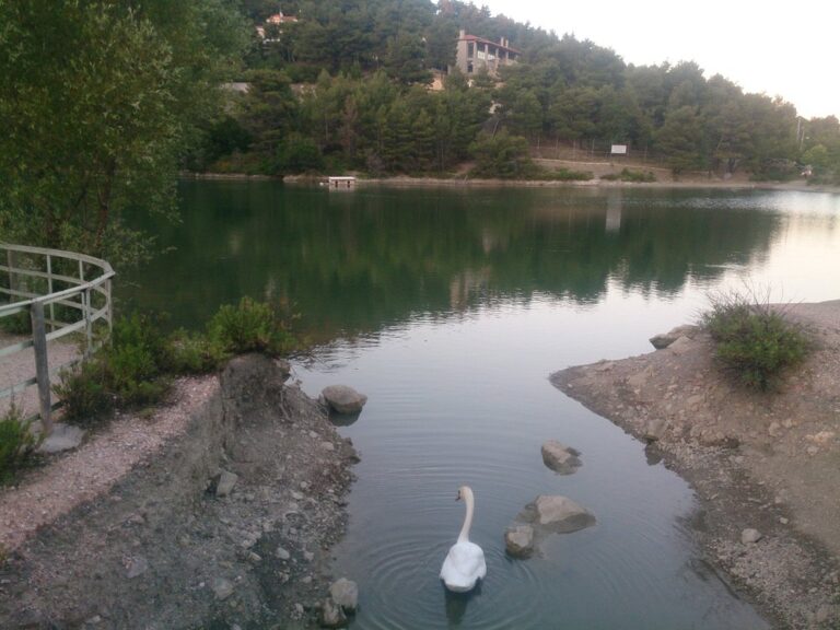 Λίμνη Μπελέτσι 9 768x576