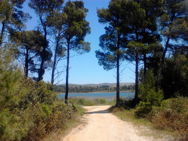 Περίπατος της Λίμνης Μαραθώνα 11