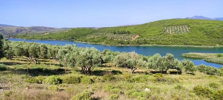 Περίπατος της Λίμνης Μαραθώνα 5 768x345