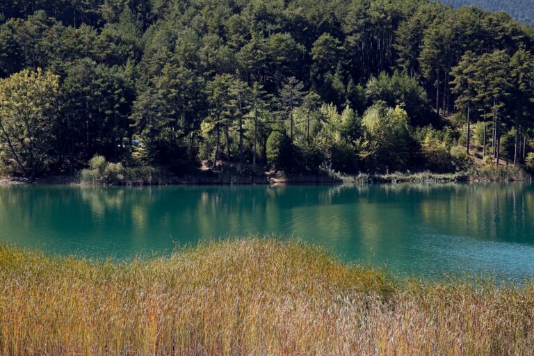 Περίπατος της Λίμνης Μαραθώνα 6 768x512