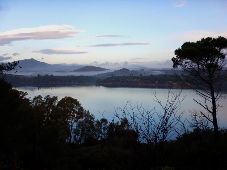 Περίπατος της Λίμνης Μαραθώνα 7 768x576