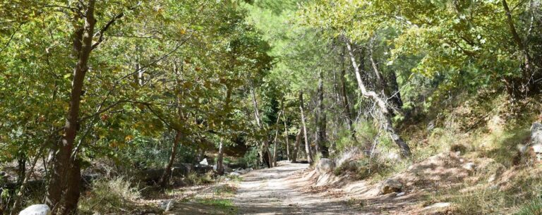 Περίπατος της Λίμνης Μαραθώνα 9 768x305